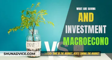 Saving and Investment Macroeconomics: The Basics of Money Management