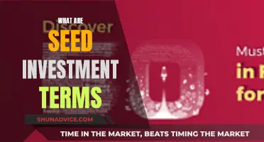 Unraveling the Complexities: Understanding Seed Investment Terms