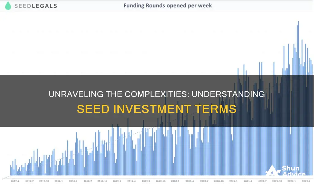 what are seed investment terms