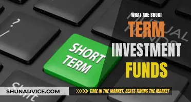 Explore Short-Term Investment Funds: Quick Returns, Low Risk