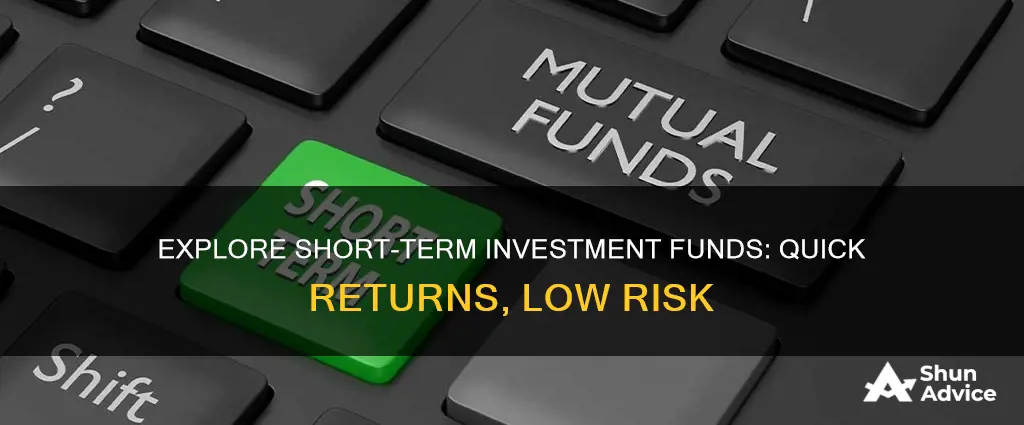 what are short term investment funds