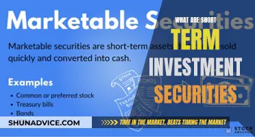 Unlocking the Secrets of Short-Term Investment Securities: A Comprehensive Guide