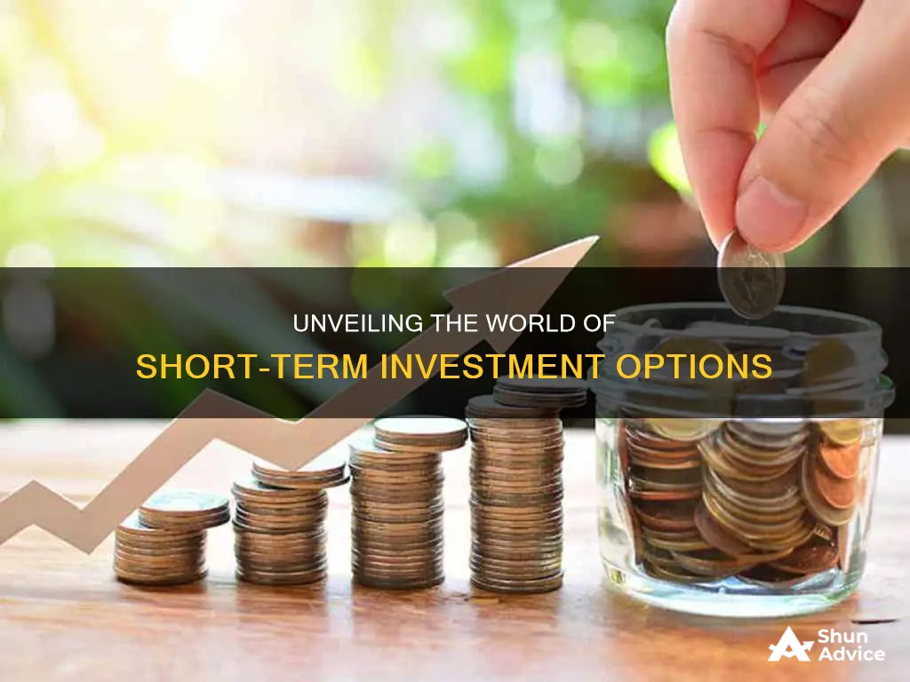 what are short term investment vehicles