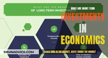 Understanding Short-Term Investments: A Comprehensive Guide for Economists