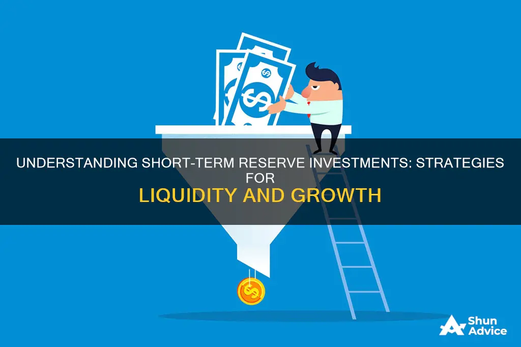 what are short term reserve investments