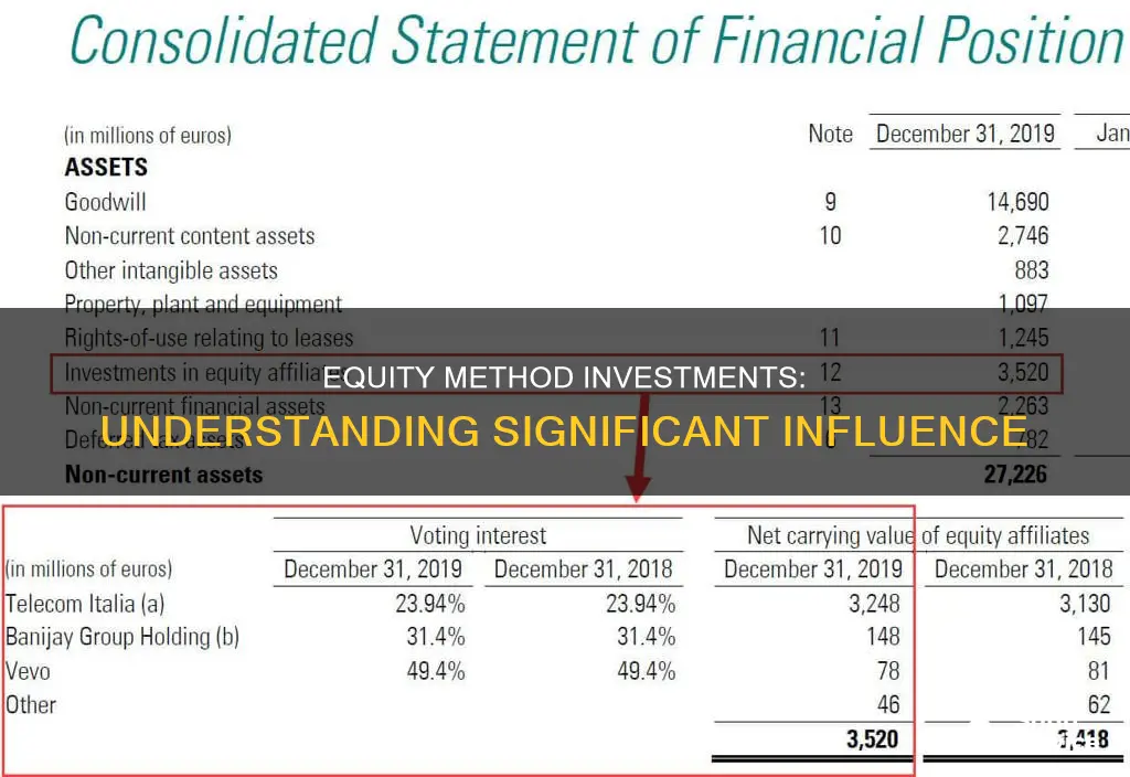 what are significant equity method investments