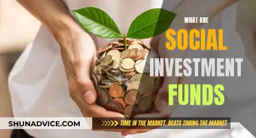 Social Investment Funds: Powering Change Through Capital