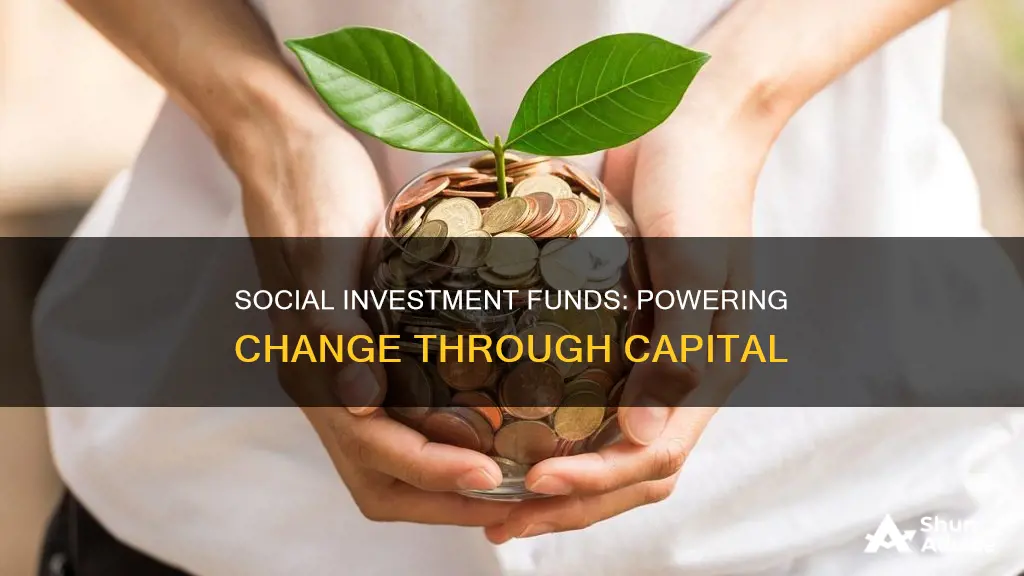 what are social investment funds