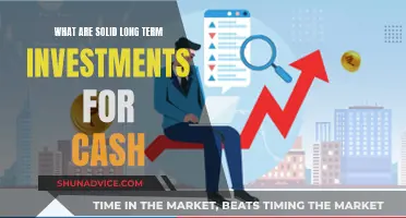 Solid Long-Term Investments: Building Wealth with Cash