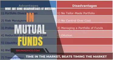 Mutual Fund Investing: Potential Drawbacks and Risks