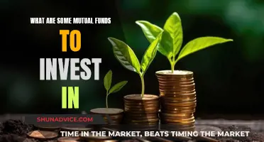 Best Mutual Funds to Invest in This Year