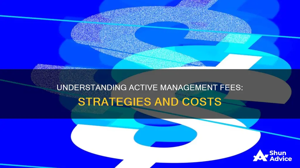 what are some of the investing active management fees