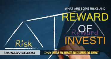 Investing: Risks and Rewards, a Balancing Act