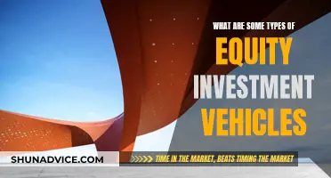 Equity Investment Vehicles: Understanding Different Types of Equity Investments