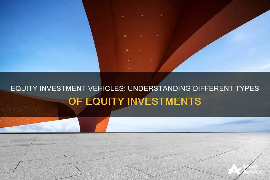 what are some types of equity investment vehicles