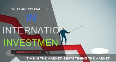 International Investment: Navigating Unique Risk Challenges