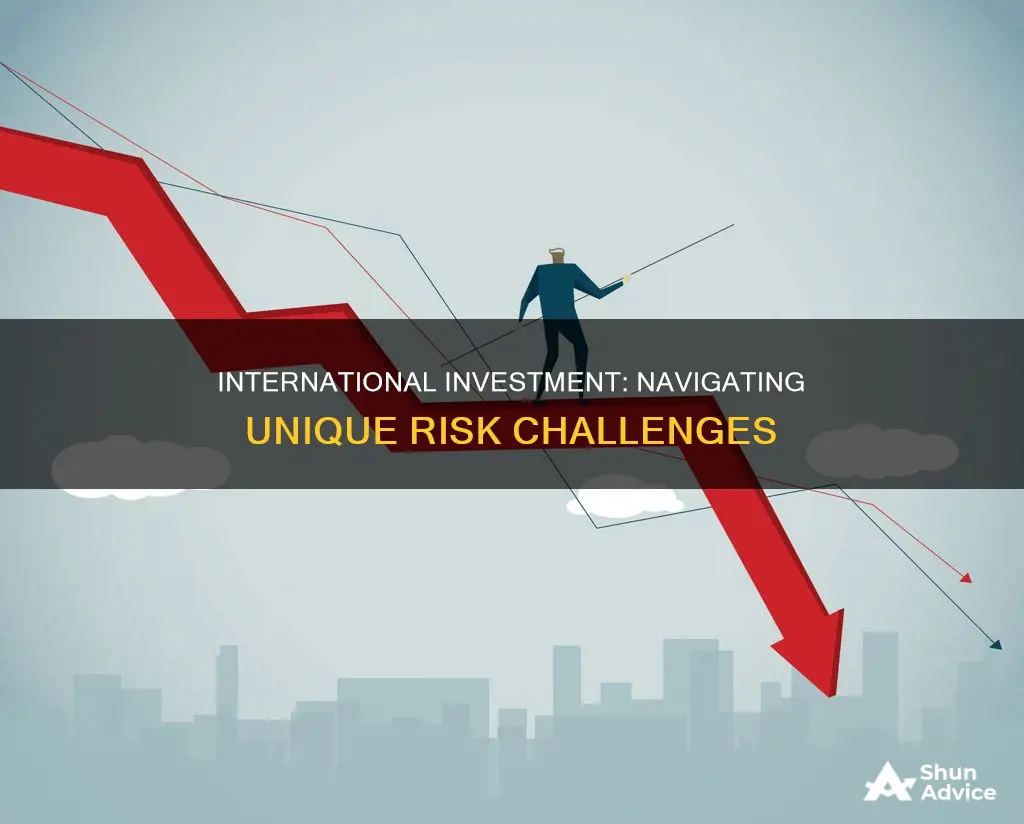 what are special risks in international investment