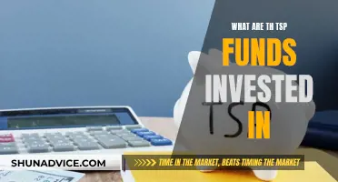 TSP Funds: Where Your Money Is Invested