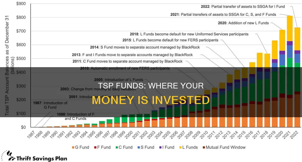 what are th tsp funds invested in