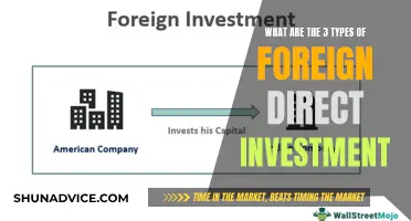 Unlocking Global Growth: Understanding the Three Types of FDI