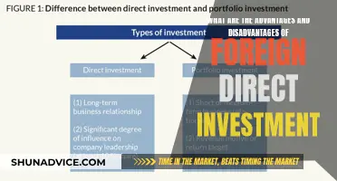 FDI's Dual Impact: Benefits and Drawbacks Explored