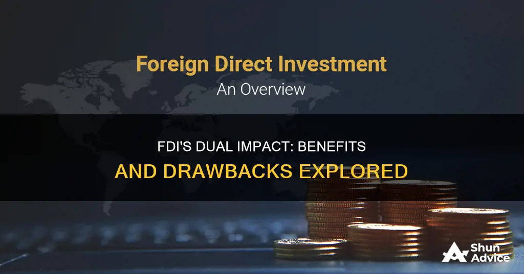 what are the advantages and disadvantages of foreign direct investment