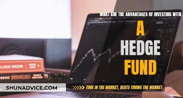 Hedge Fund Advantages: Smart Investment Strategies for High Returns