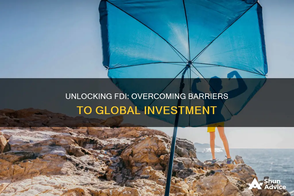 what are the barriers to foreign direct investment