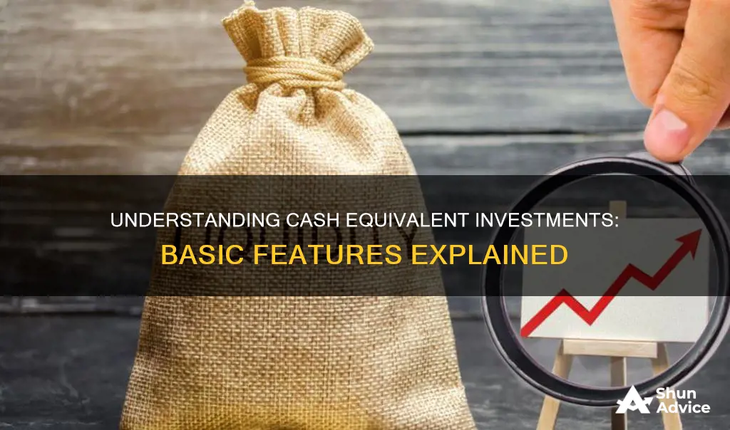 what are the basic features of cash equivalent investments