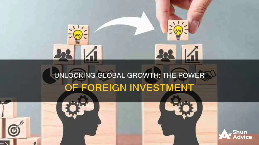 what are the benefits of foreign investment