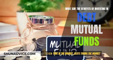 Debt Mutual Funds: Advantages for Long-Term Investors