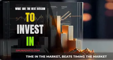 The Ultimate Guide to Bitcoin Investment Opportunities