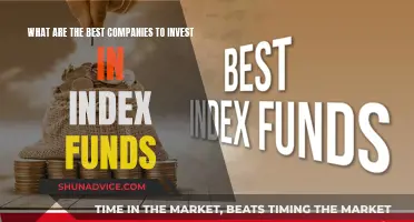 Best Companies for Index Fund Investments