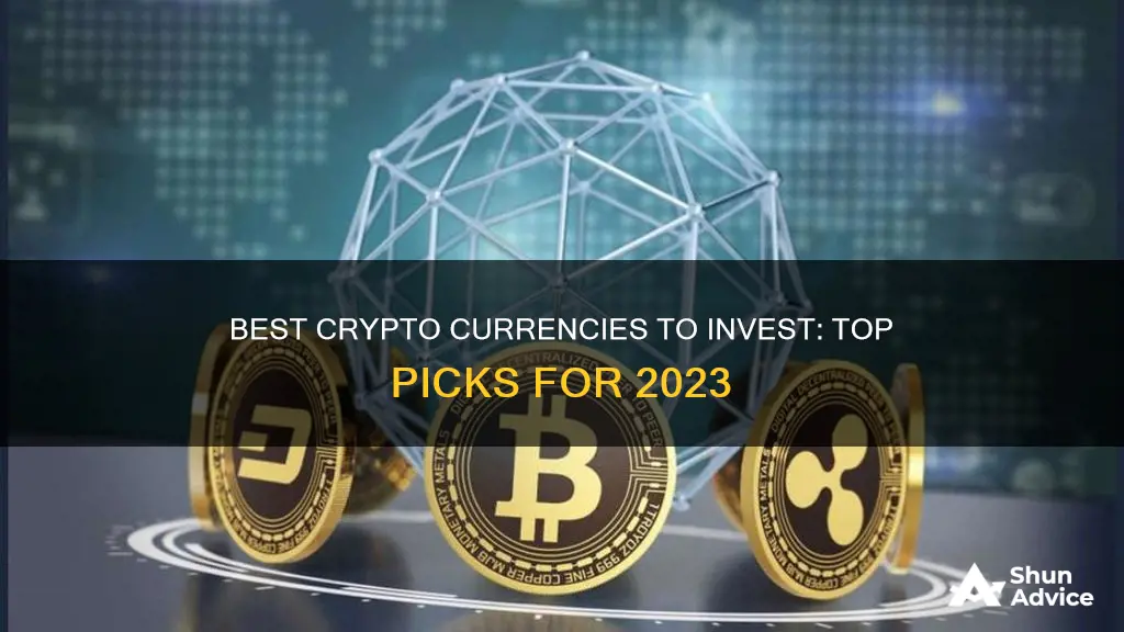 what are the best crypto currencies to invest in