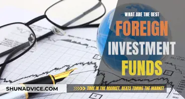 Top Foreign Investment Funds: Where to Invest Internationally