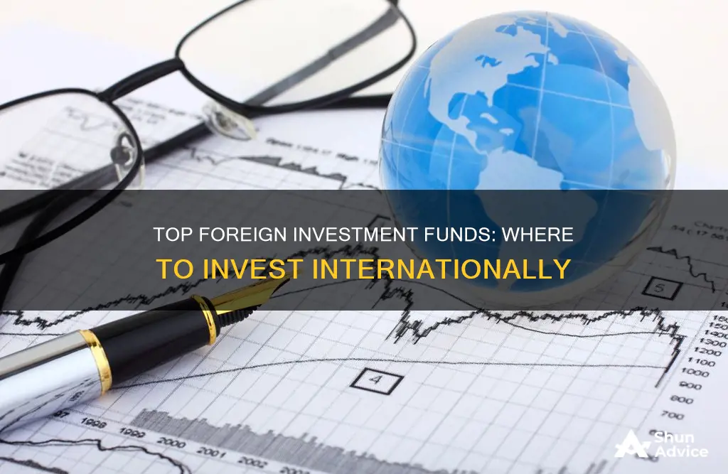 what are the best foreign investment funds