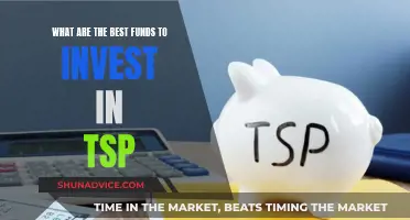 Best TSP Funds: Where to Invest Your Money