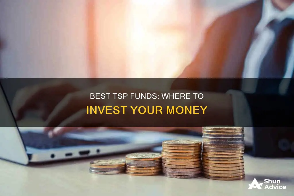 what are the best funds to invest in tsp