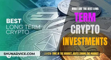 Top Long-Term Crypto Investments: Strategies for Success