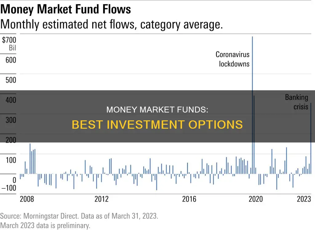 what are the best money market funds to invest in