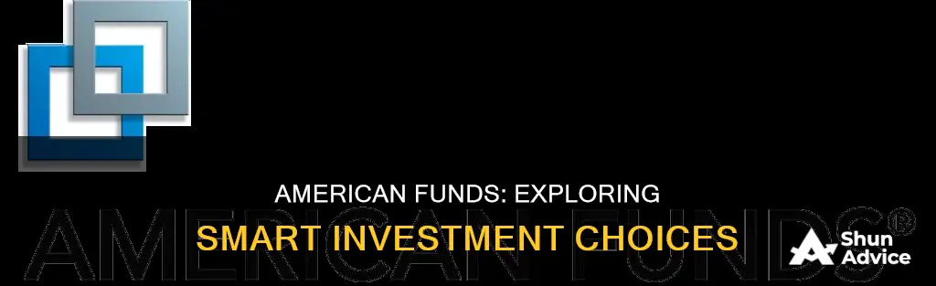 what are the choices for investment through american funds