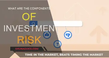 Understanding Investment Risk: Key Components Explained