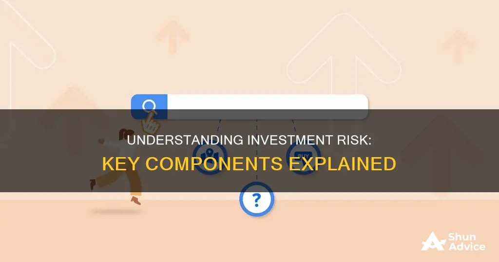 what are the components of investment risk