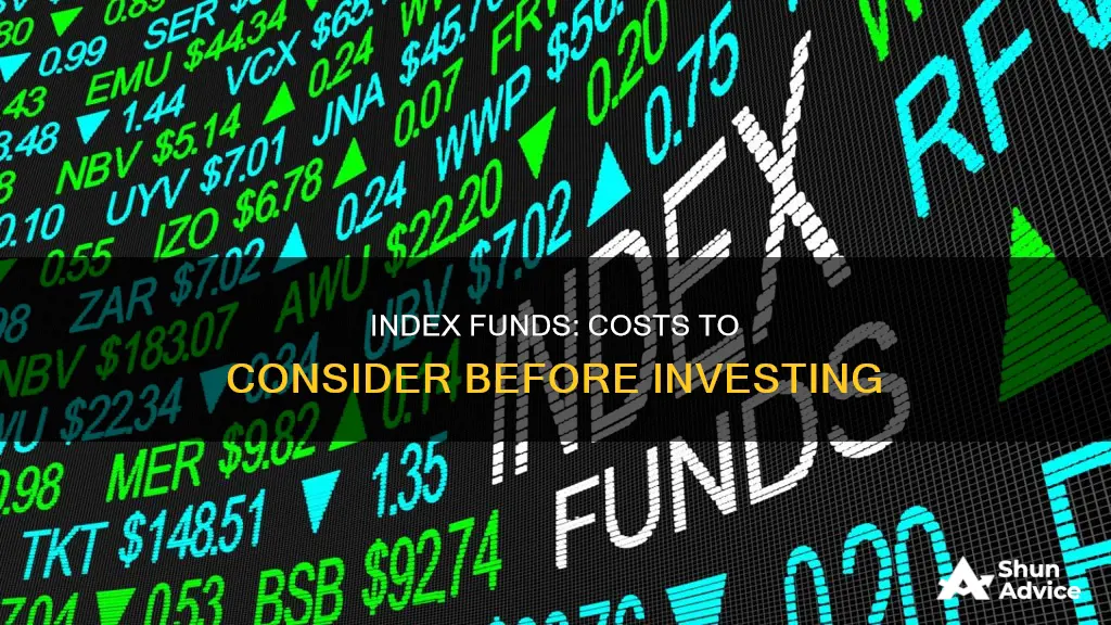 what are the costs to invest in index funds