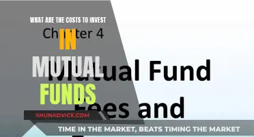 Mutual Fund Investment: Understanding the Cost to Invest