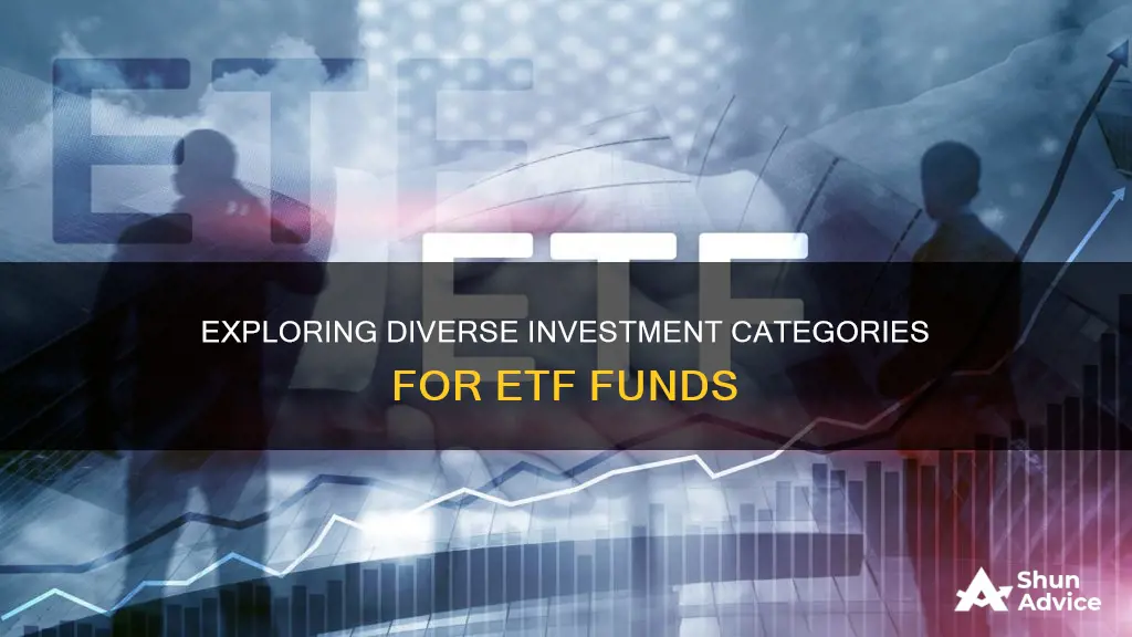 what are the different investment catagories for etf funds