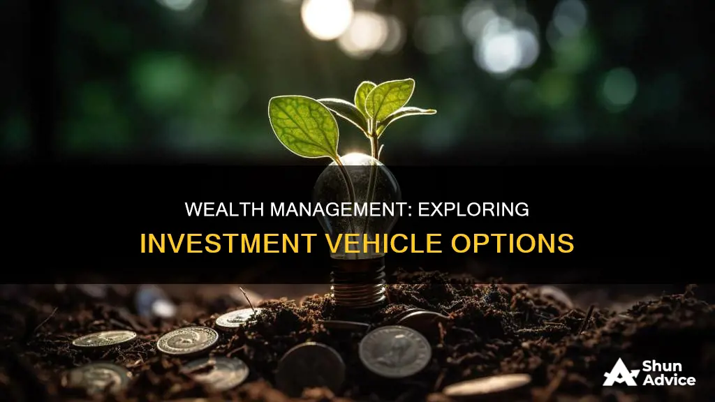 what are the different investment vehicles of wealth management