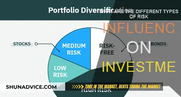 Risk Influences: Impacting Investment Decisions and Strategies