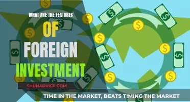 Unveiling the Key Attributes of Foreign Investment