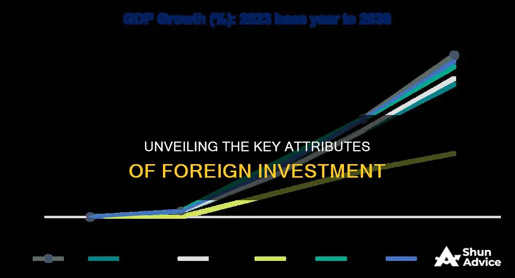 what are the features of foreign investment